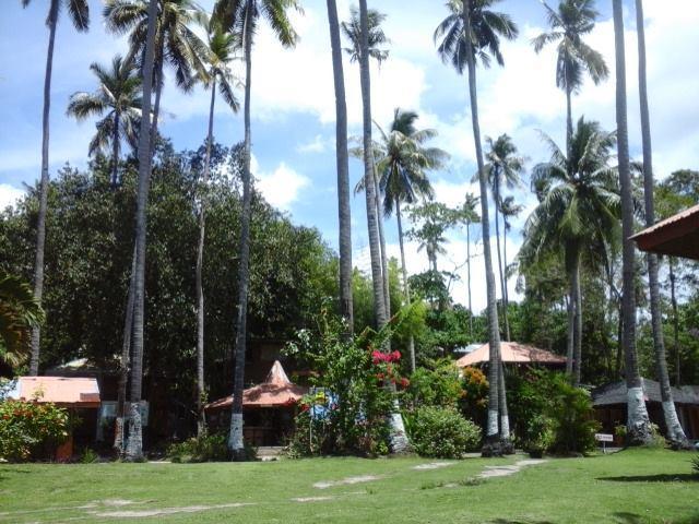 Punta Del Sol Araceli Beach Resort 萨马尔 外观 照片
