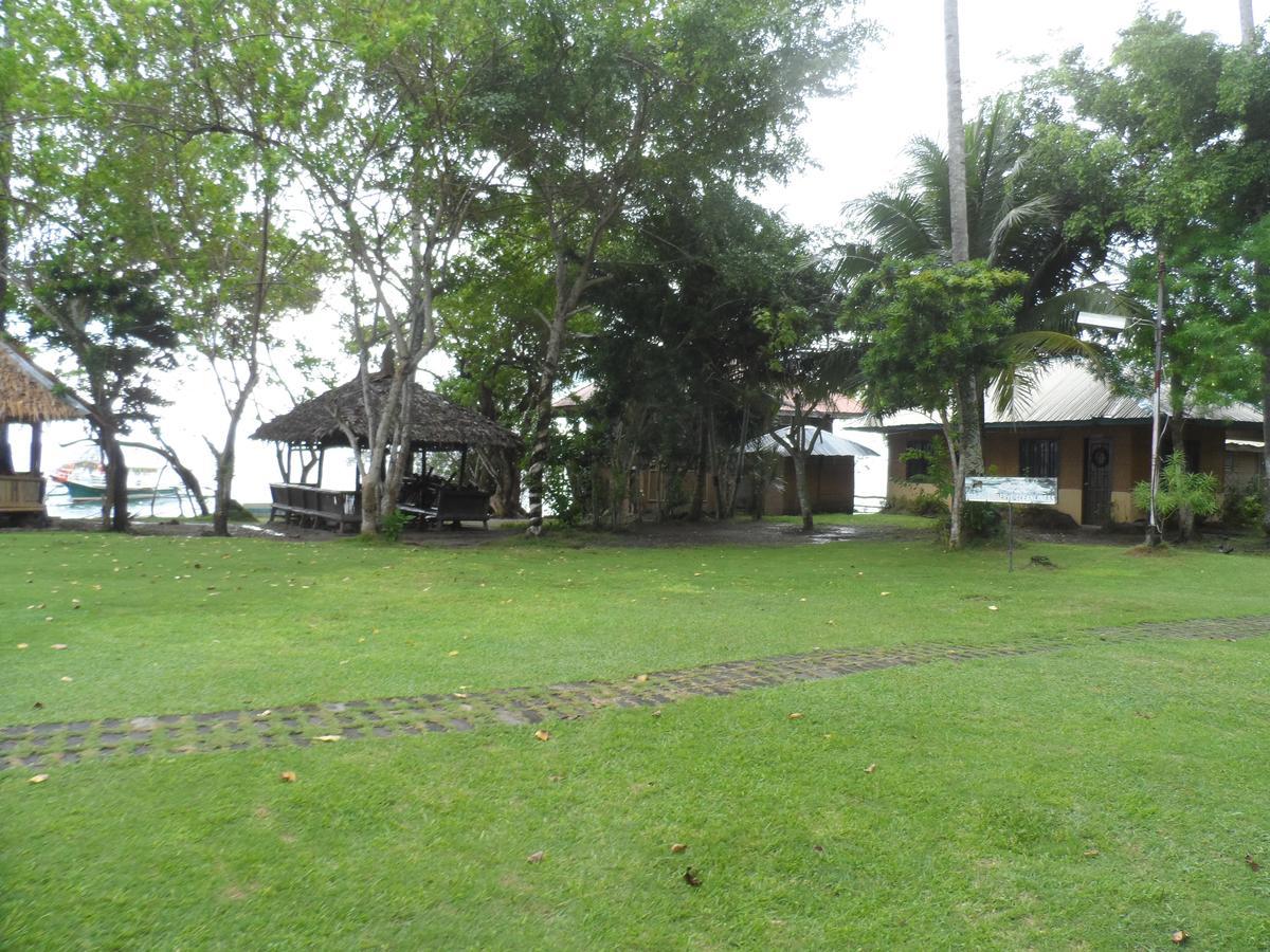 Punta Del Sol Araceli Beach Resort 萨马尔 外观 照片