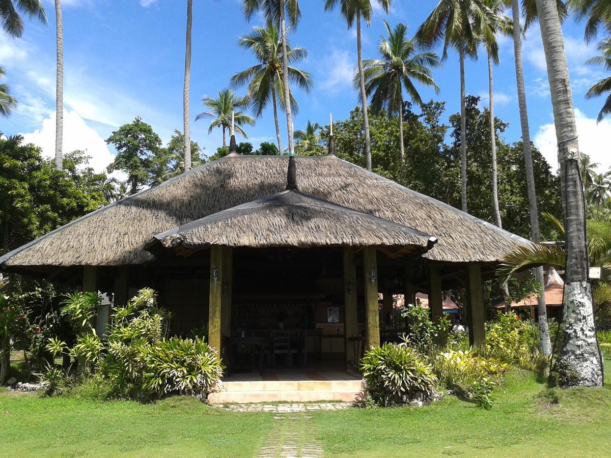 Punta Del Sol Araceli Beach Resort 萨马尔 外观 照片