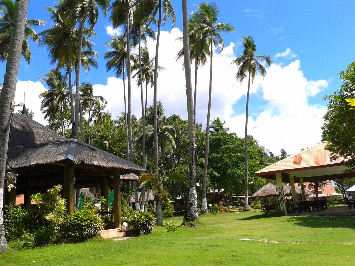 Punta Del Sol Araceli Beach Resort 萨马尔 外观 照片