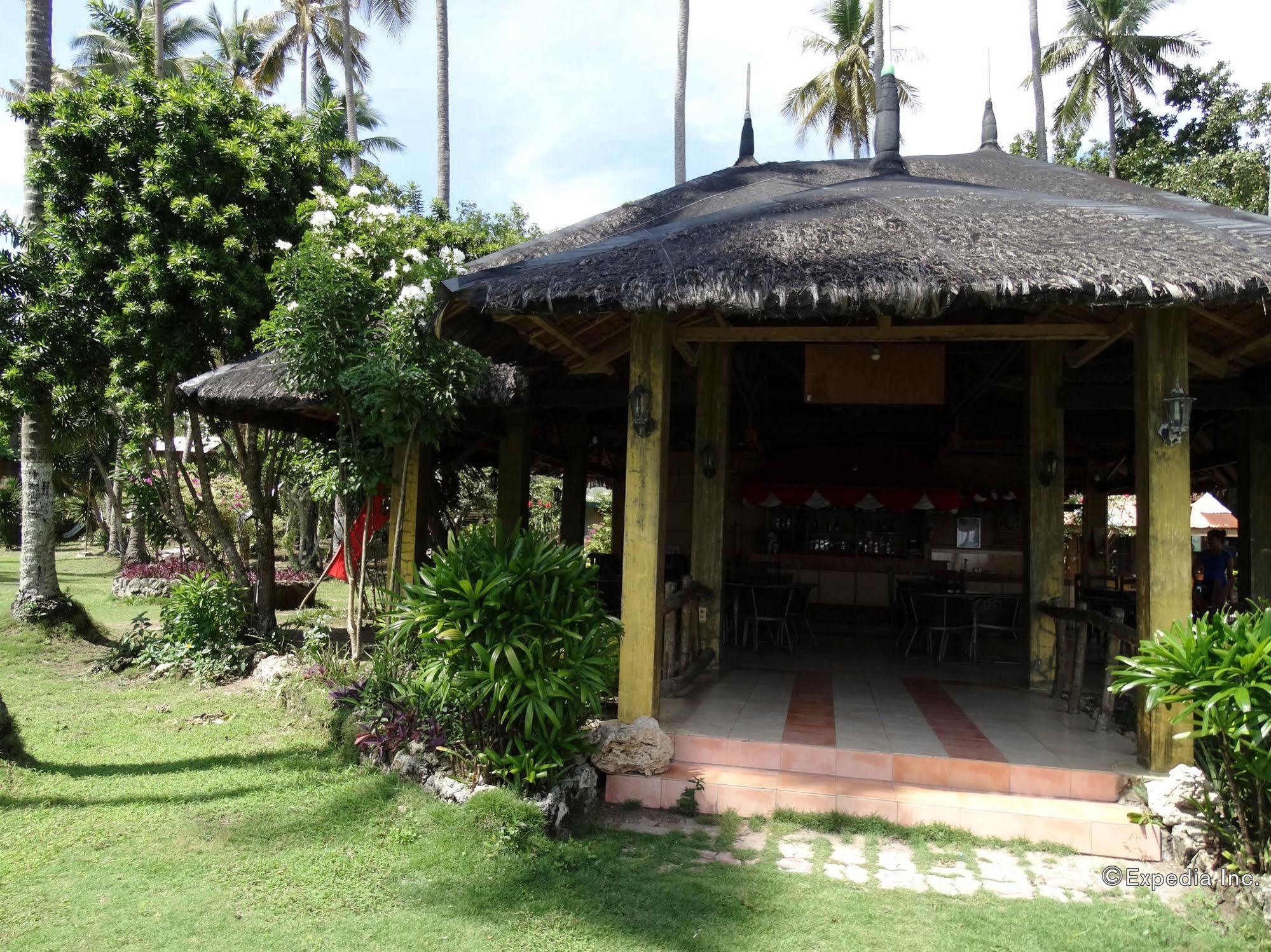 Punta Del Sol Araceli Beach Resort 萨马尔 外观 照片